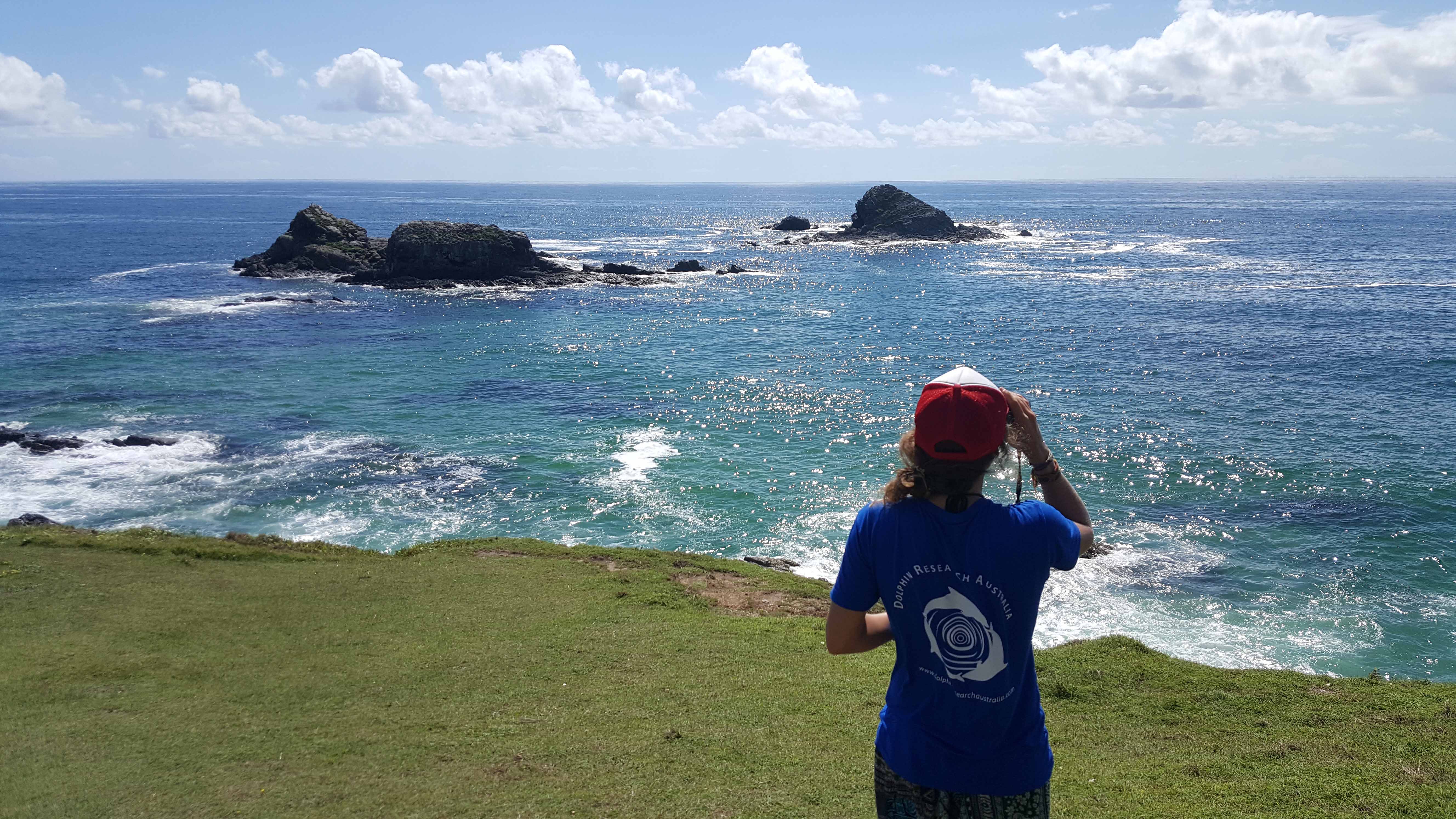 Dolphin Survey_Dolphin Research Australia