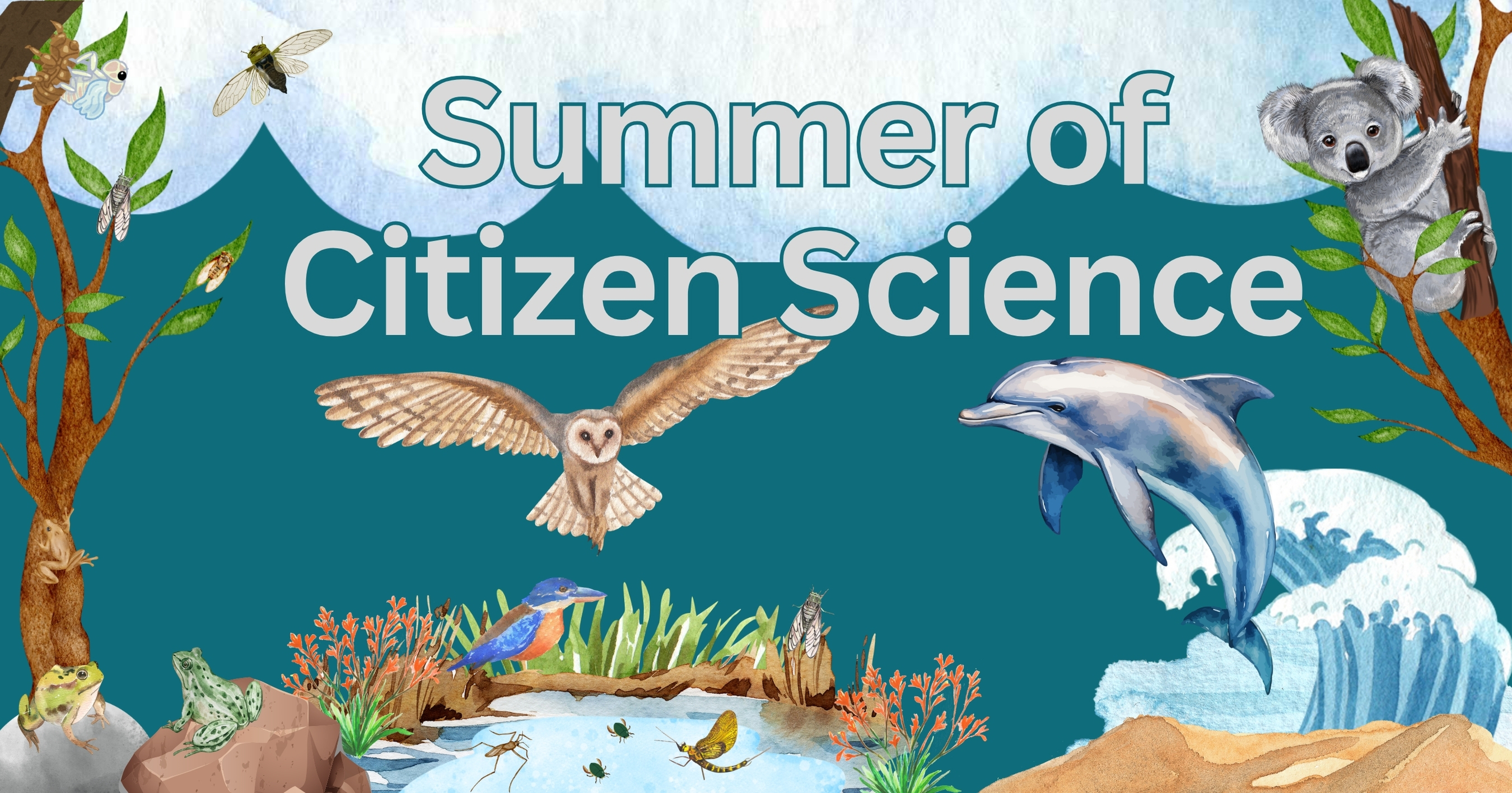 Citizen Science graphic with summer programs
