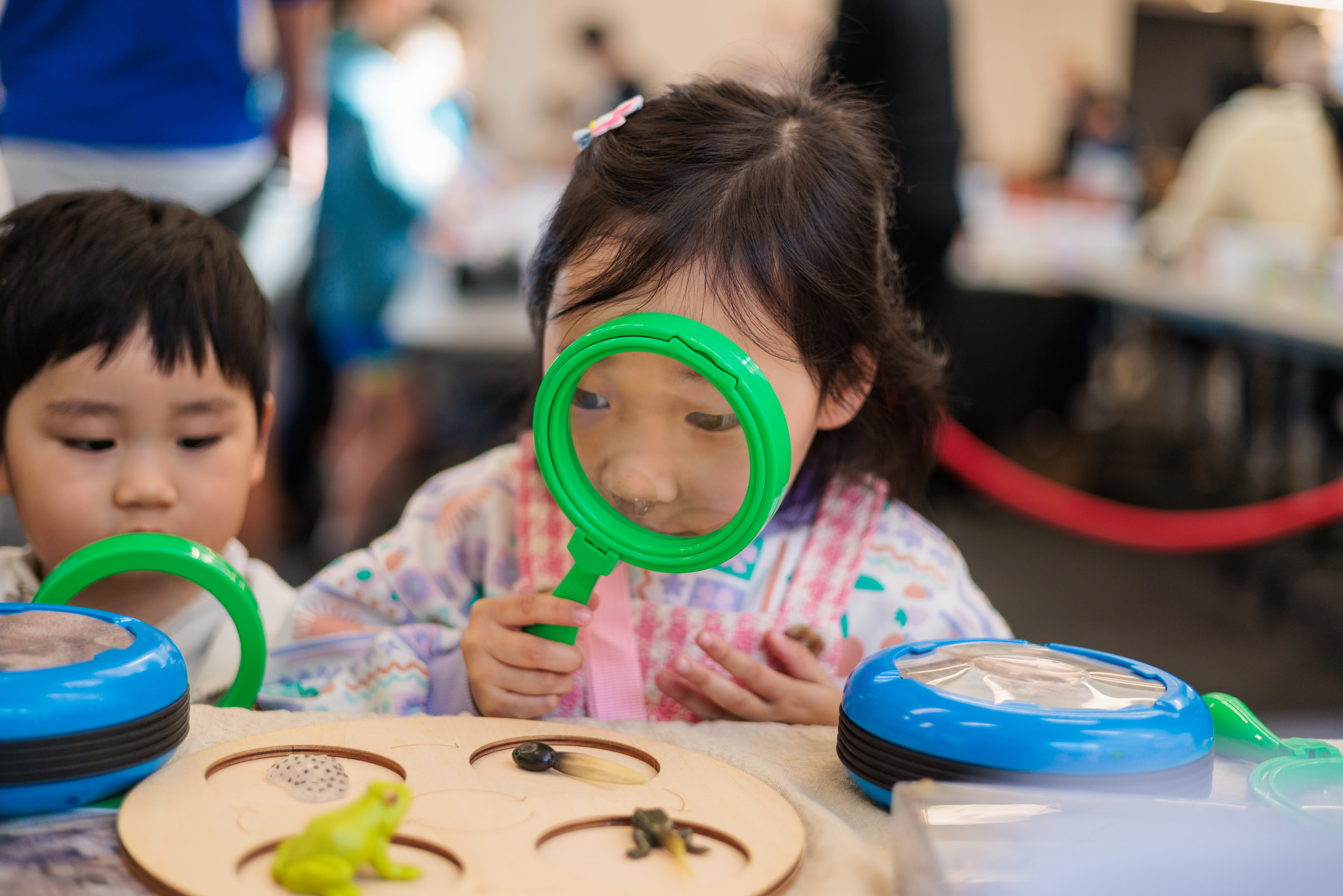 Science Fair at Rhodes Library for National Science Week 2024
