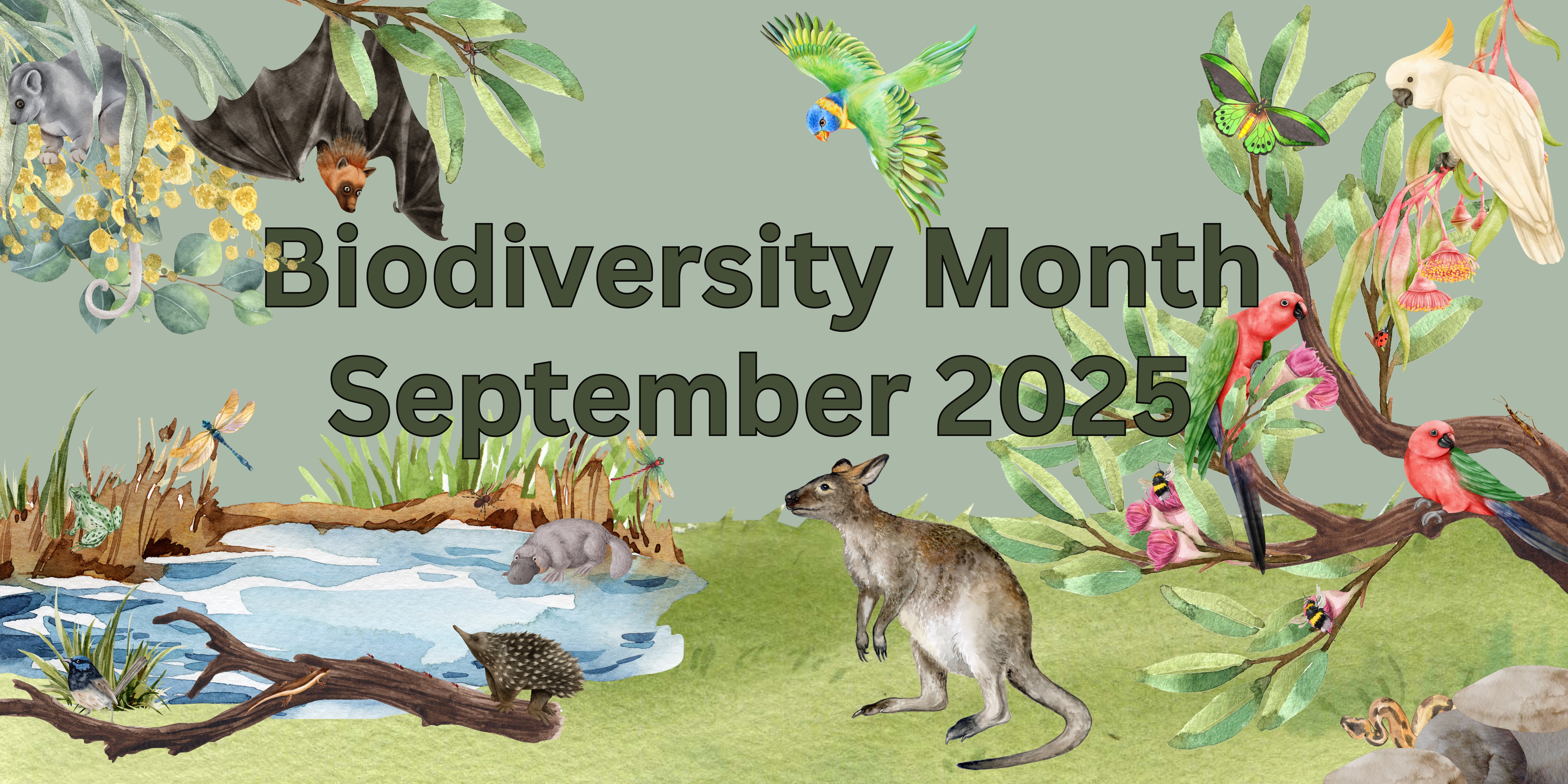 Biodiversity month 2025