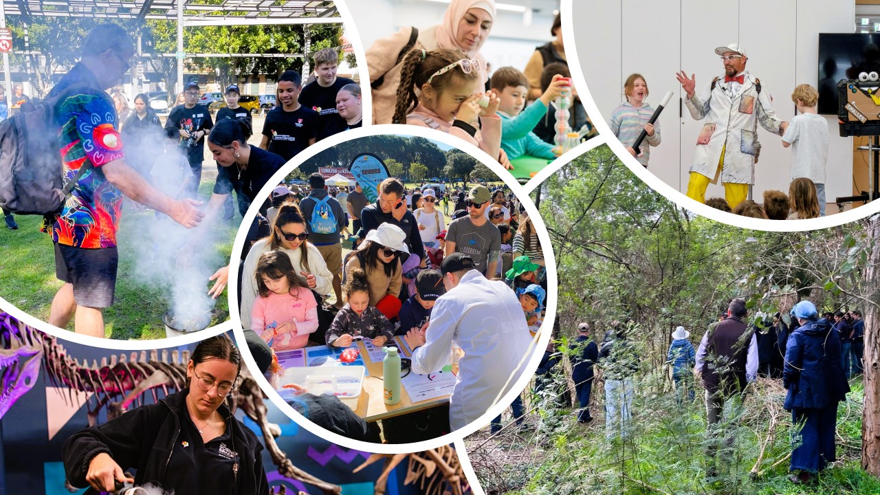 A collage of images featuring various educational activities: outdoor science demonstrations with smoke, children engaging in hands-on experiments, a lively presentation by a performer in a lab coat, and families exploring nature.